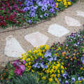 Créer un massif de fleurs